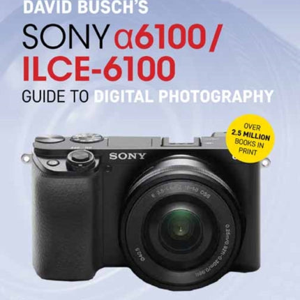 David Busch’s Sony Alpha a6100/ILCE-6100 Guide to Digital Photography