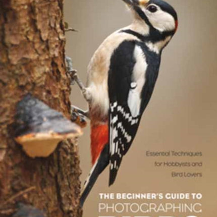 The Beginner's Guide to Photographing Birds: Essential Techniques for Hobbyists and Bird Lovers