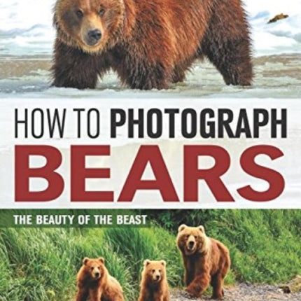 How to Photograph Bears The Beauty of the Beast