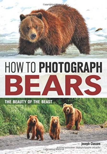 How to Photograph Bears The Beauty of the Beast