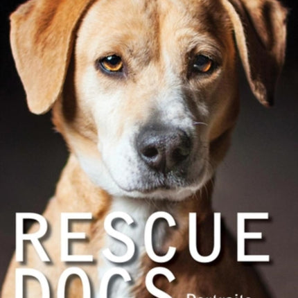 Rescue Dogs Portraits and Stories