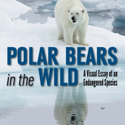 Polar Bears In The Wild