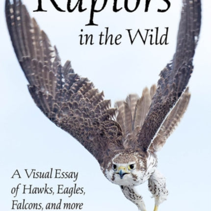 Raptors In The Wild