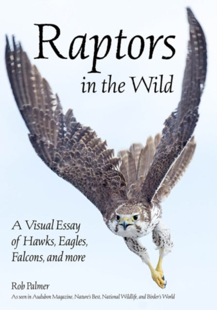 Raptors In The Wild