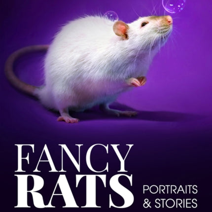 Fancy Rats