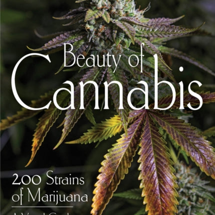 Beauty Of Cannabis