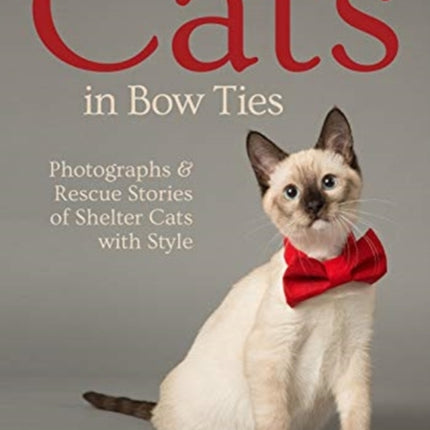 Cats in Bow Ties Portraits  Rescue Stories of Shelter Cats with Style