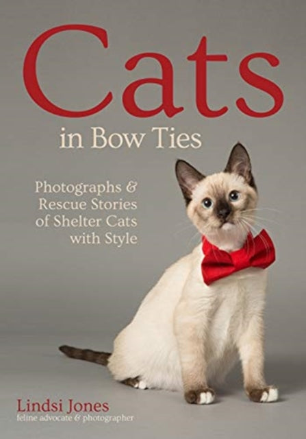 Cats in Bow Ties Portraits  Rescue Stories of Shelter Cats with Style