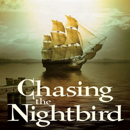 Chasing the Nightbird