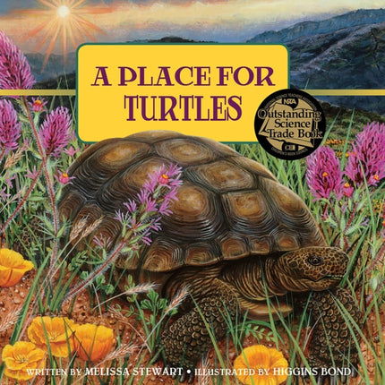 A Place for Turtles