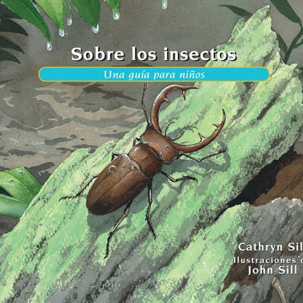 Sobre los insectos: Una guía para niños