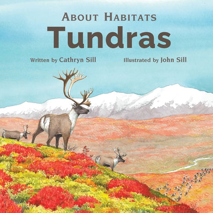 About Habitats: Tundras