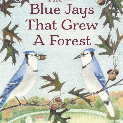 The Blue Jays That Grew a Forest