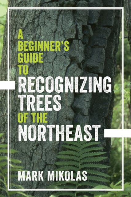 A Beginner's Guide to Recognizing Trees of the
