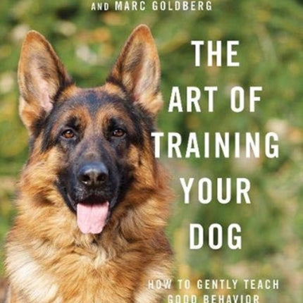 The Art of Training Your Dog: How to Gently Teach Good Behavior Using an E-Collar