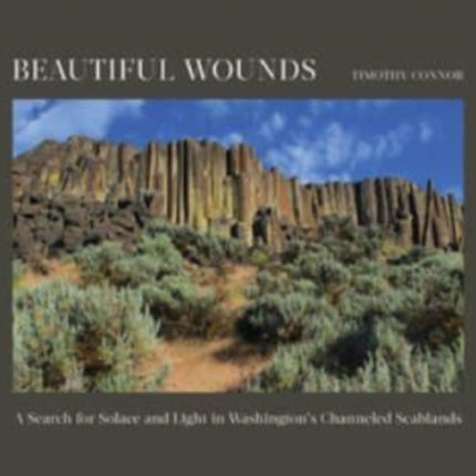 Beautiful Wounds: A Search for Solace and Light