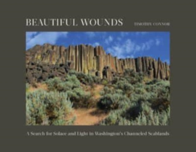 Beautiful Wounds: A Search for Solace and Light