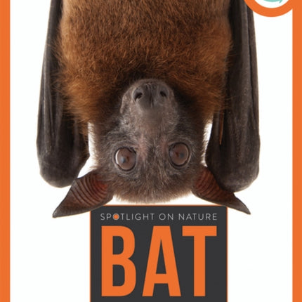 Spotlight on Nature Bat