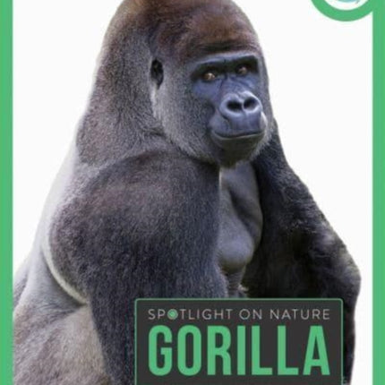 Spotlight on Nature Gorilla