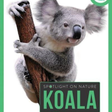 Spotlight on Nature Koala