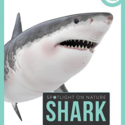 Spotlight on Nature Shark