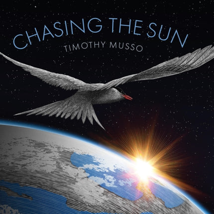 Chasing the Sun