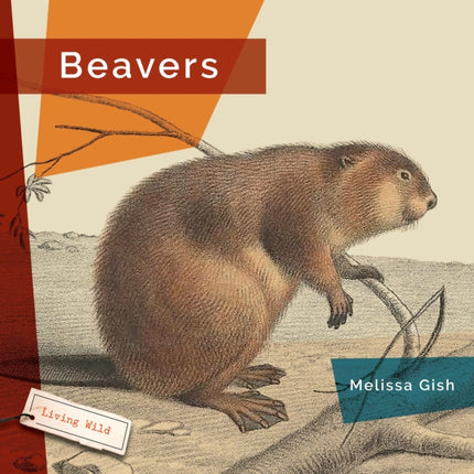 Beavers