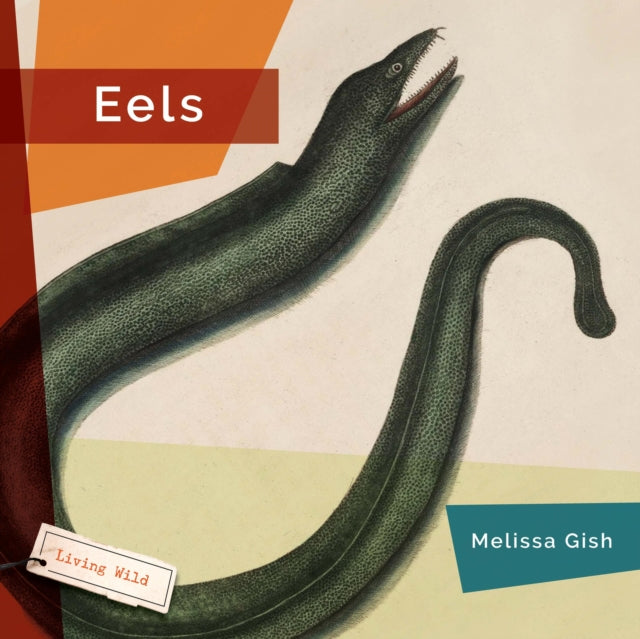 Eels