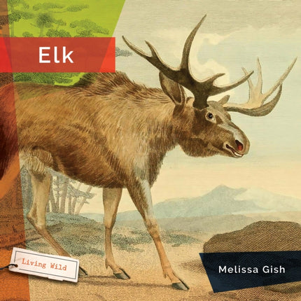 Elk