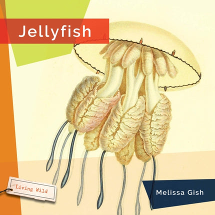 Jellyfish