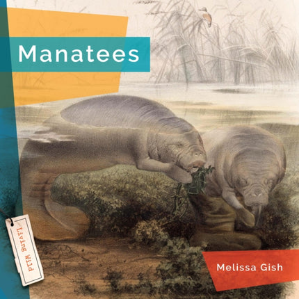 Manatees