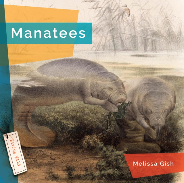 Manatees