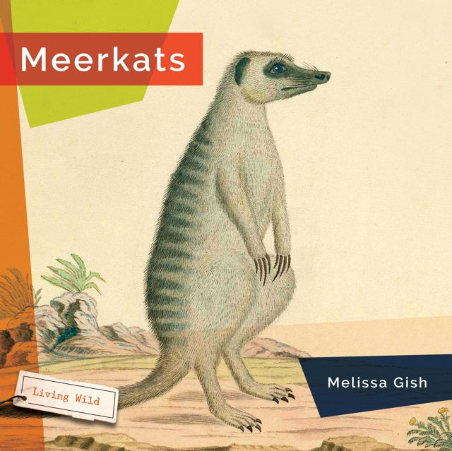 Meerkats