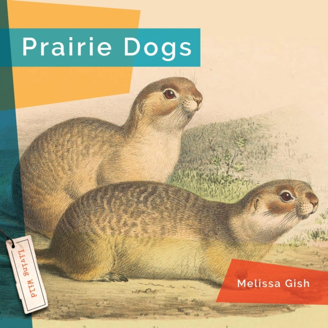 Prairie Dogs