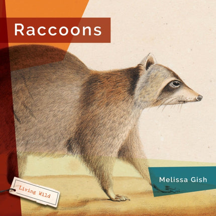 Raccoons