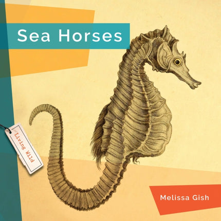 Seahorses