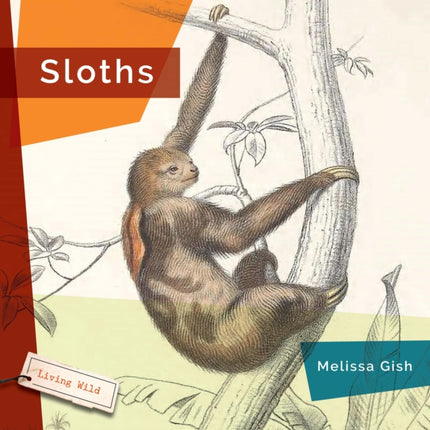 Sloths