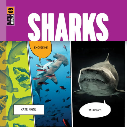 Sharks