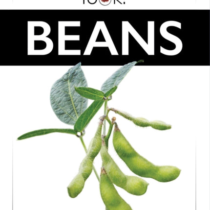 Beans