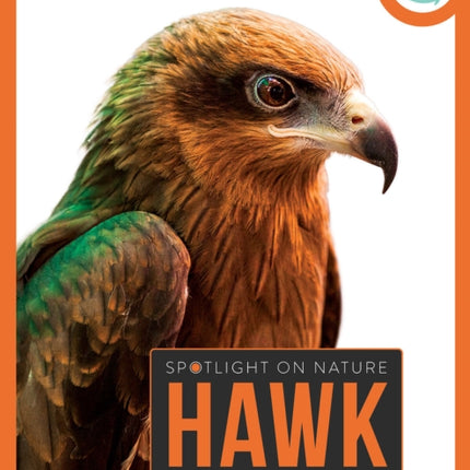 Hawk