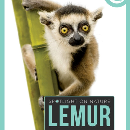 Lemur