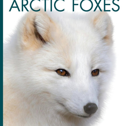 Arctic Foxes