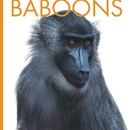 Baboons