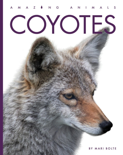 Coyotes