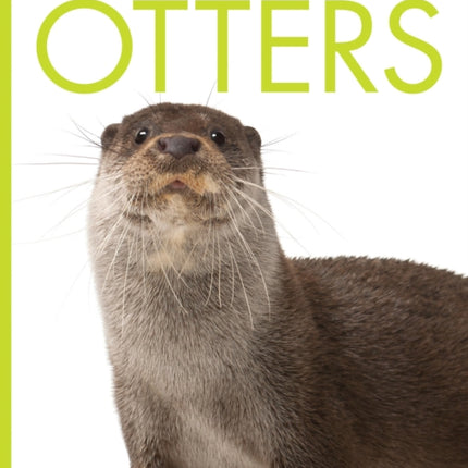 Otters