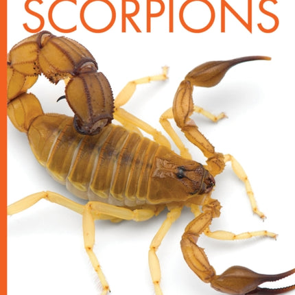 Scorpions