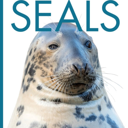 Seals