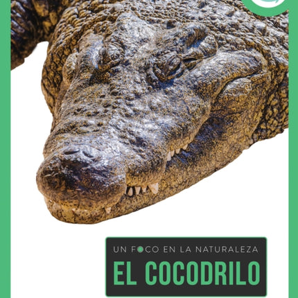 Cocodrilo