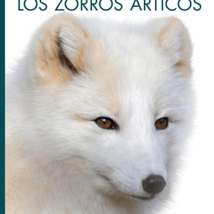 Los Zorros Árticos