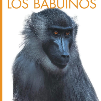 Los Babuinos